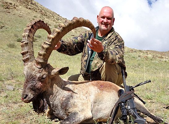 Chasse de l'Ibex de Gobi à Mongolie