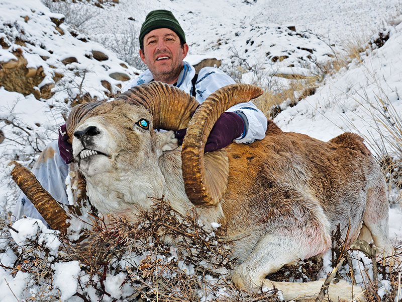 охота на горного козла в киргизии