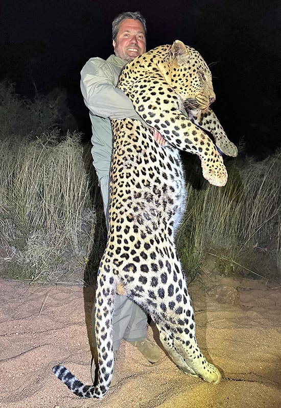 Видео: Спасенный в Приморье леопард Leo 260M научился охотиться