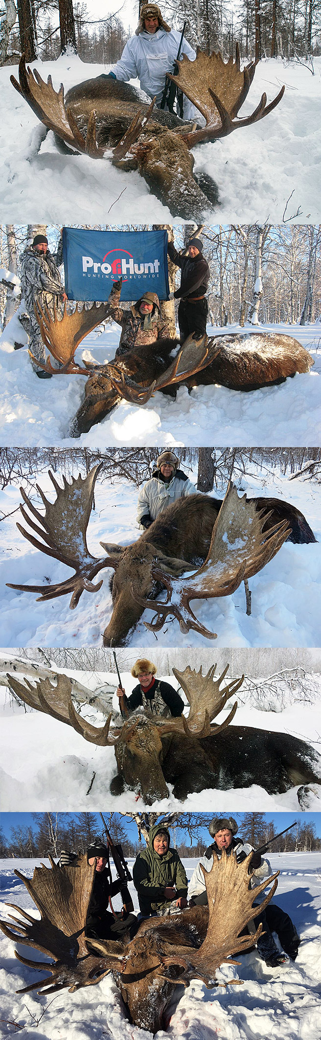 Лось продолжительность. Камчатский Лось. Moose Hunting books.