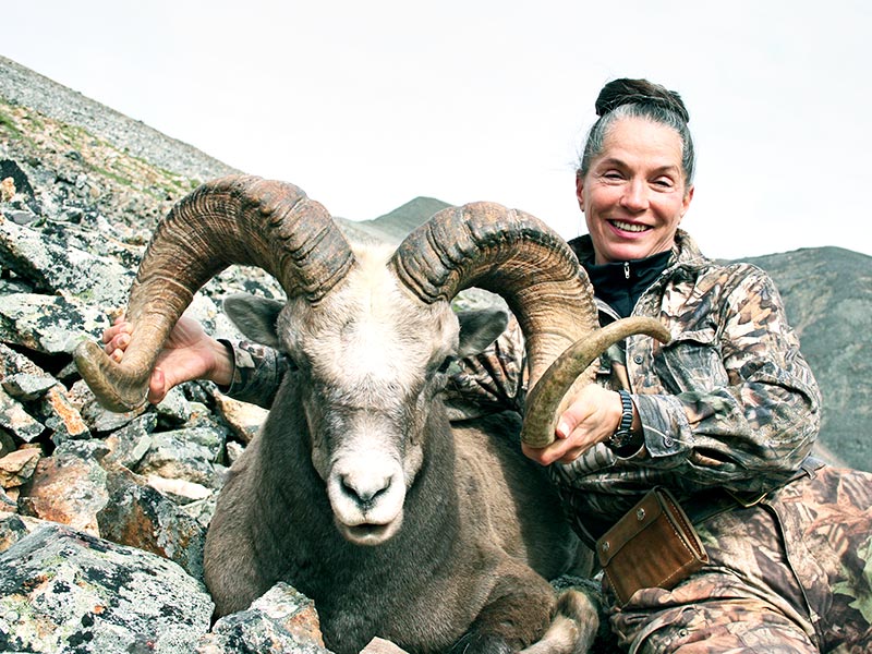 OKHOTSK SNOW SHEEP