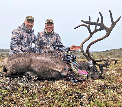 Musk-ox and caribou
