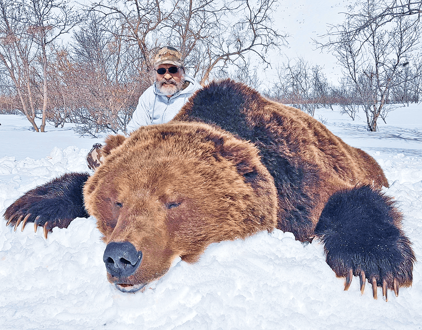 Bear