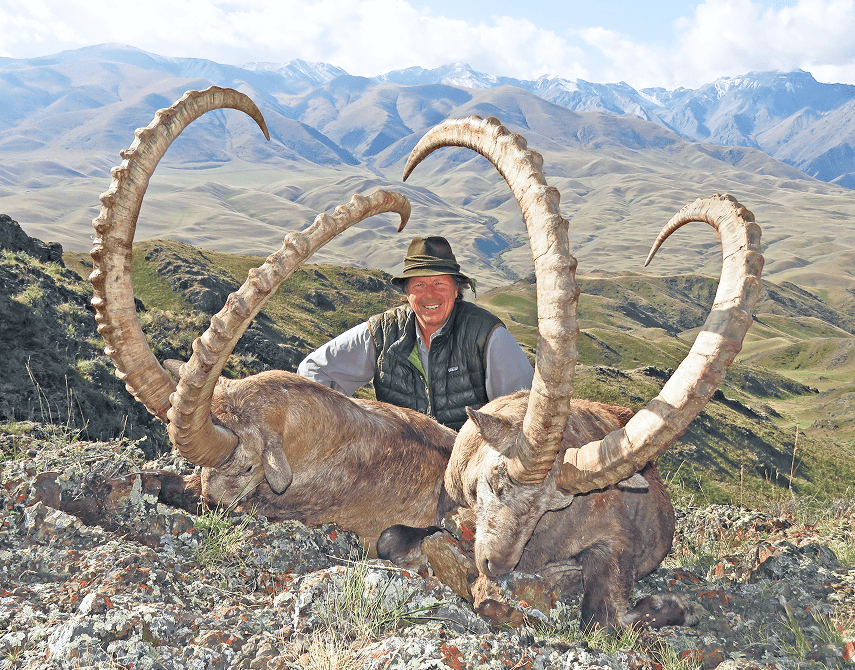 Ibex