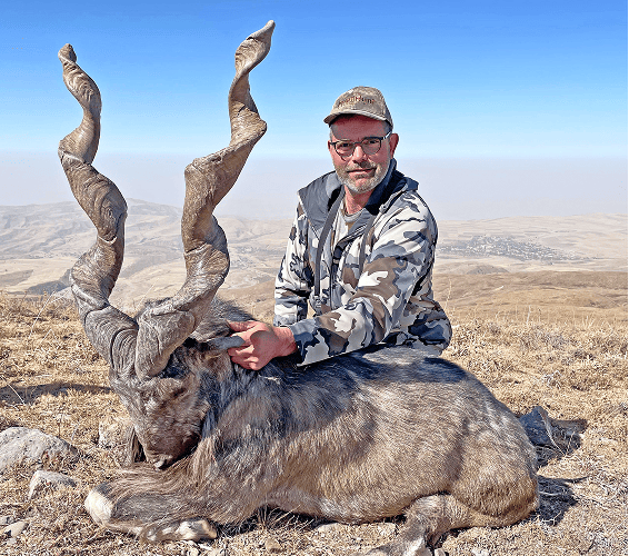 Markhor