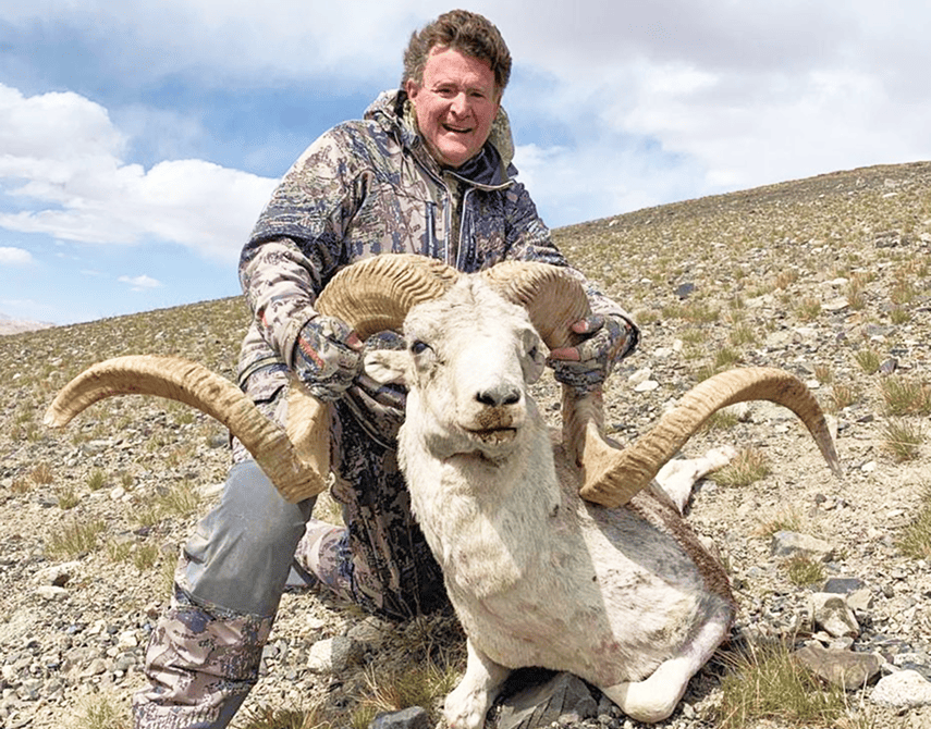 Argali