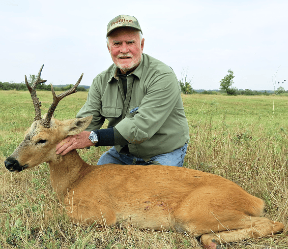 Siberian roe deer