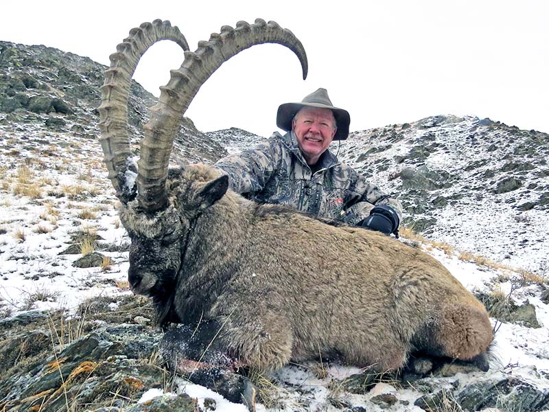 Sayan Ibex