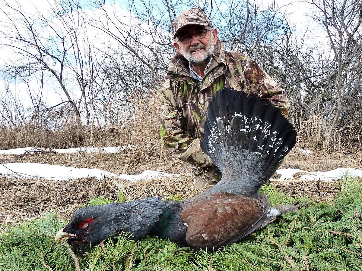 Capercaille and Black grouse