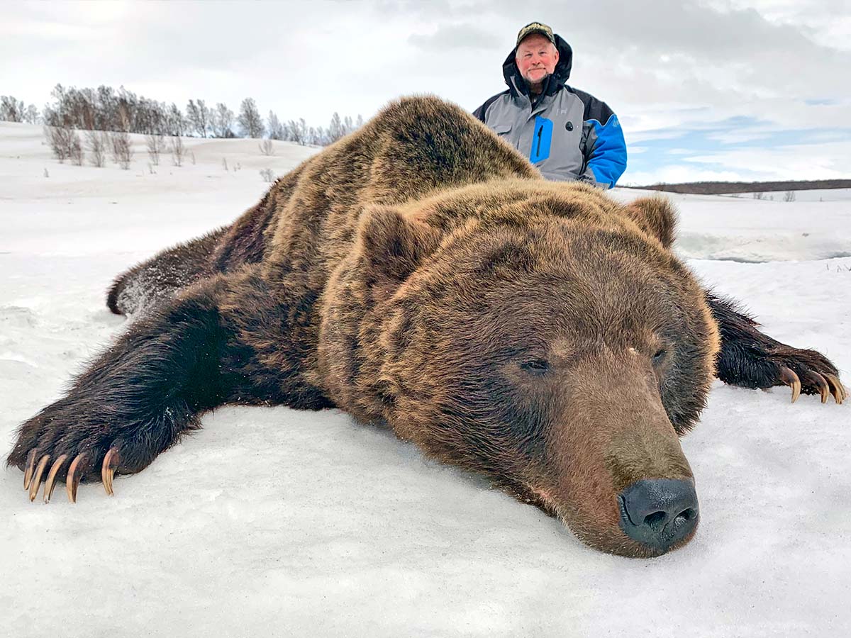 Kamchatka Brown Bear