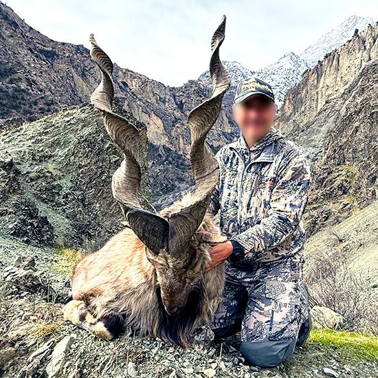 Bukharan Markhor hunting in Tajikistan with ProfiHunt – a great trophy