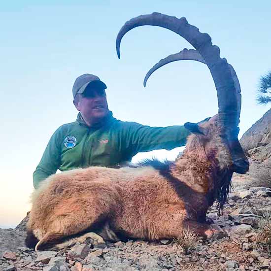Persian Desert Ibex hunting in Iran