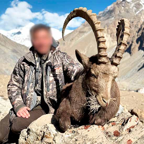 Himalayan Ibex hunt in Pakistan