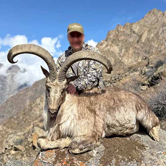 Astor Markhor hunting in Pakistan with ProfiHunt – a great trophy