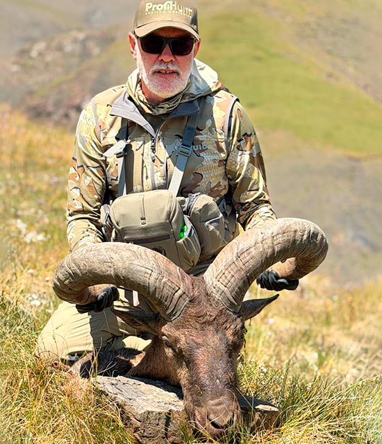 Dagestan Tur hunting in Russia
