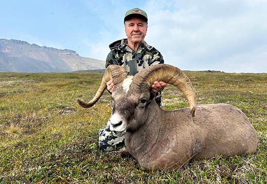Koryak and Chukotka Snow Sheep combo in Russia