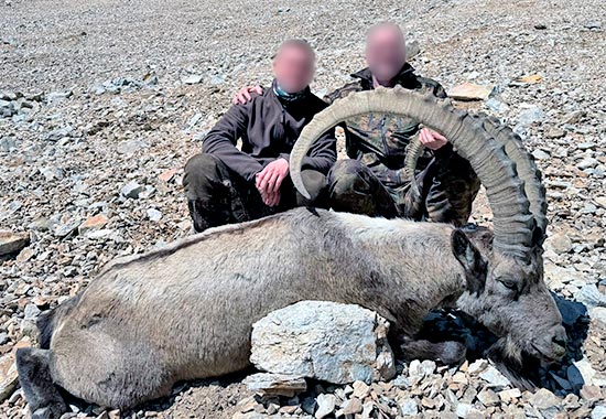 Jagd auf Steinbock in Kirgisien  – Anfang der Jagdsaison