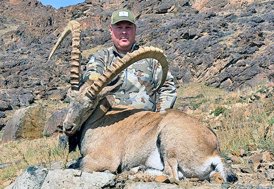 Erfolgreiche Jagd auf Altai Steinbock, Gobi Steinbock und Weißschwanz – Gazelle in der Mongolei