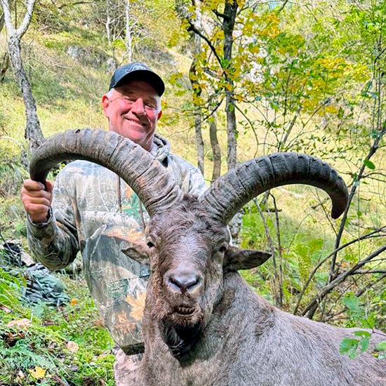 Caucasian combo hunting